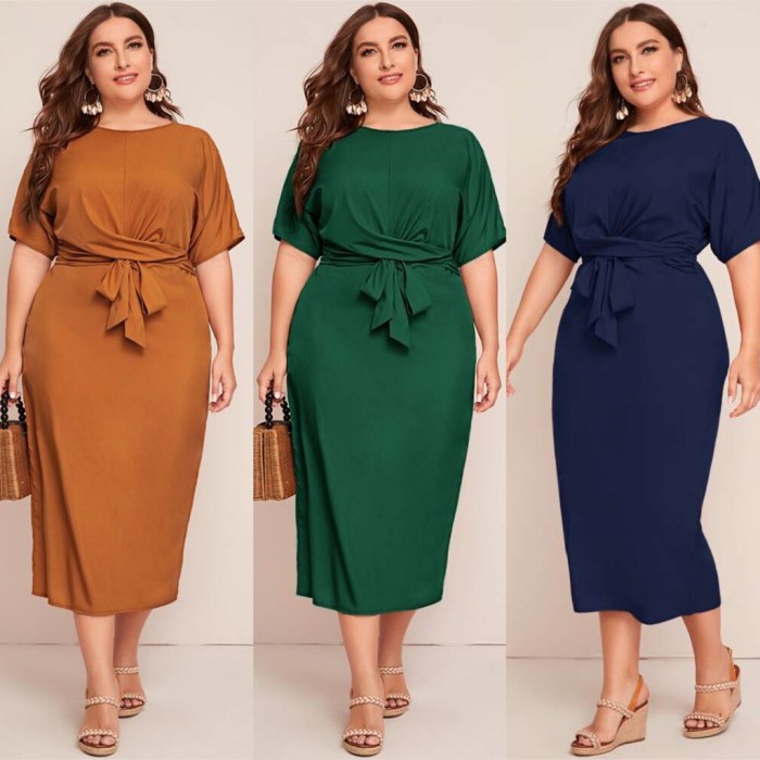 Women's plus size shirt dress